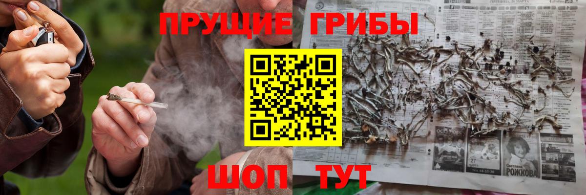 Псилоцибиновые грибы Psilocybe  Вход с VPN  Троицк 